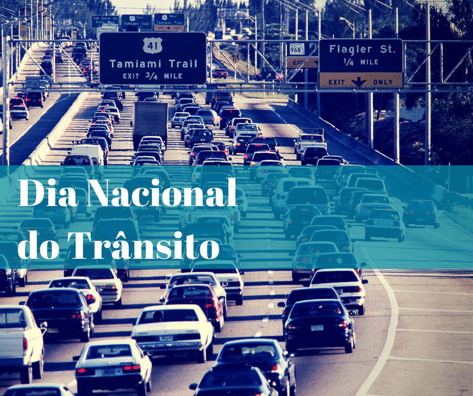dia do transito