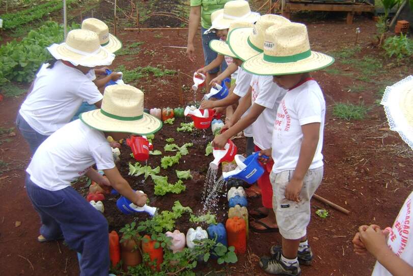 horta-escolar-primavera